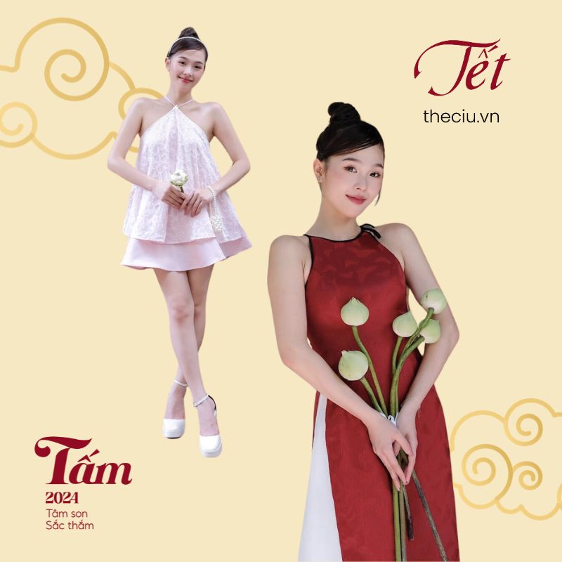 Tấm collection với màu sắc tươi sáng