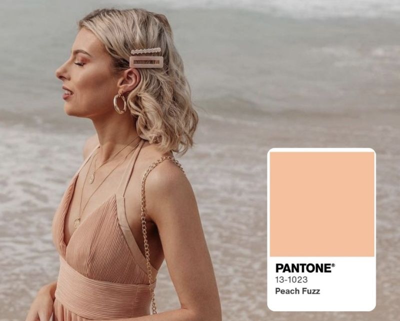 Màu pantone chọn cho năm 2024 là Peach Fuzz