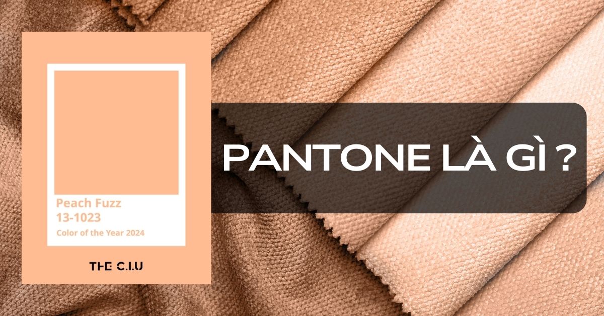 Pantone Và Vai Trò Định Hướng Gam Màu Của Năm